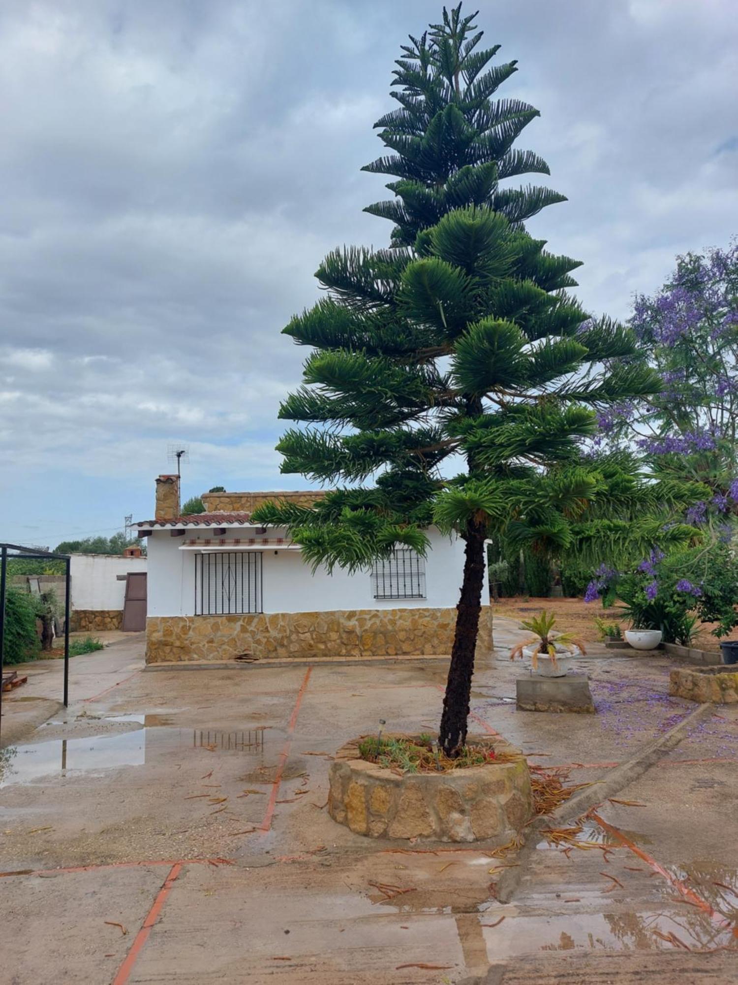 Les Berreries Villa Montroy Exteriör bild